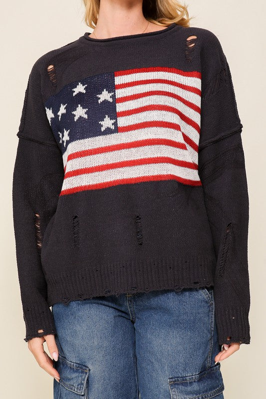 Distressed USA Logo Sweater